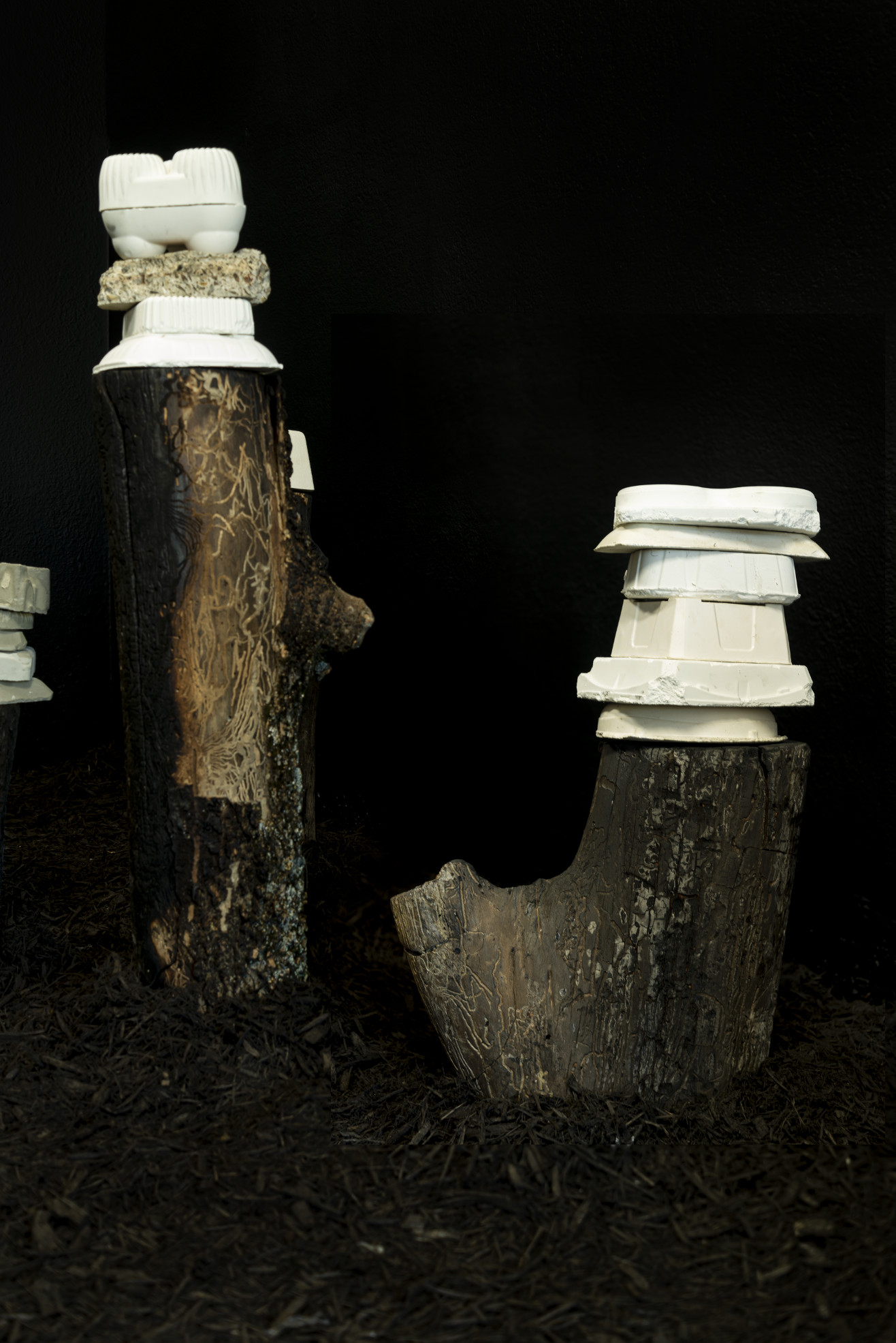 installation view: graffiti'd stumps in all black room with cast plastic objects on them