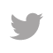 Twitter Logo